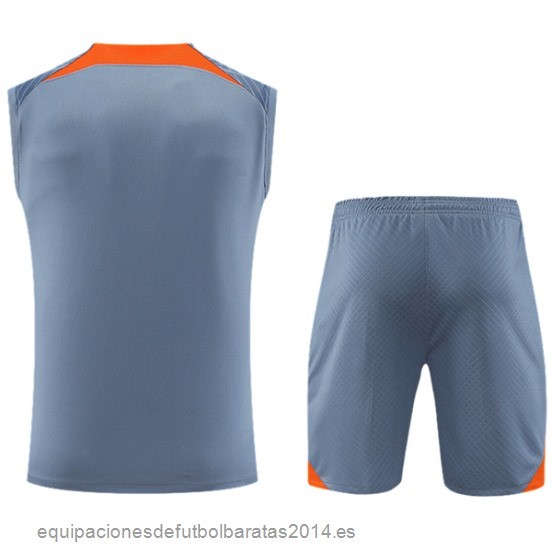Nuevo Entrenamiento Sin Mangas Conjunto Completo Inter Milan 23/24 Gris Baratas
